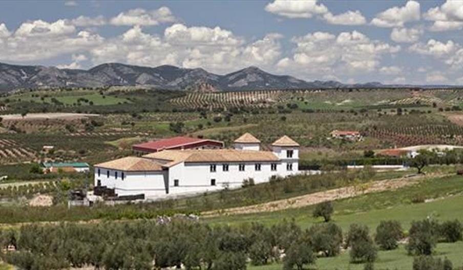 Centro de Interpretación del Olivar Ecológico