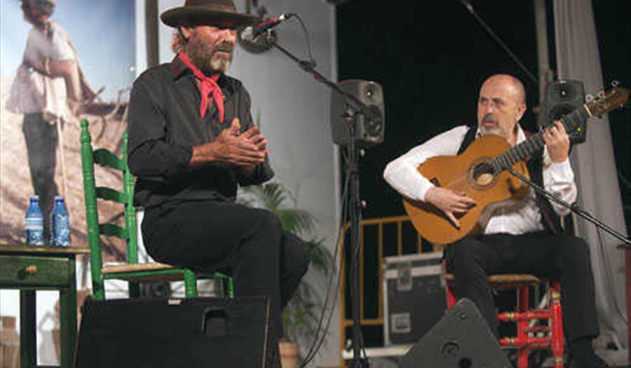 Noche Flamenca en Zambra