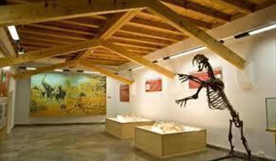 Museo Municipal de Prehistoria y Paleontología