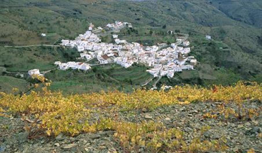 Sorvilán