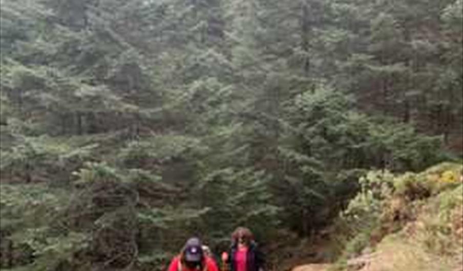 Sierra Bermeja Experience. Estepona (Málaga)