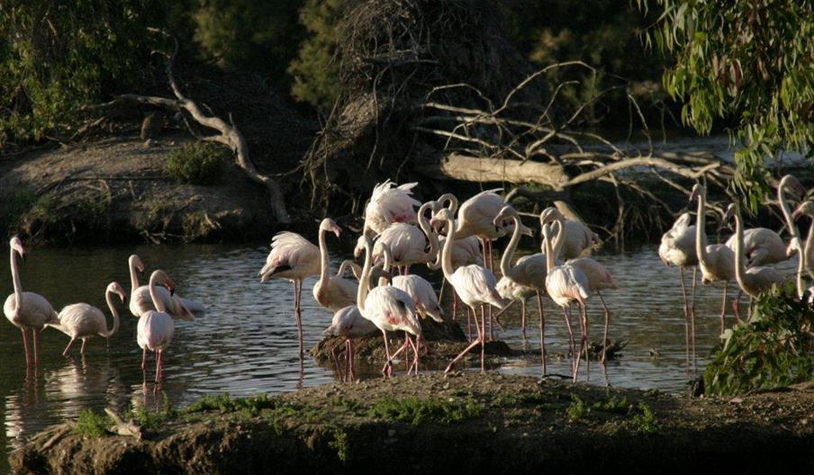 Cañada de los Pájaros