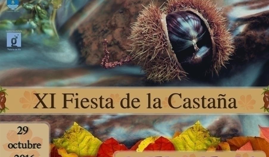 Fiesta de la Castaña en Paterna del Río