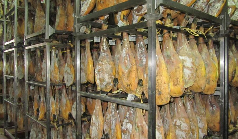 Señorío de los Pedroches