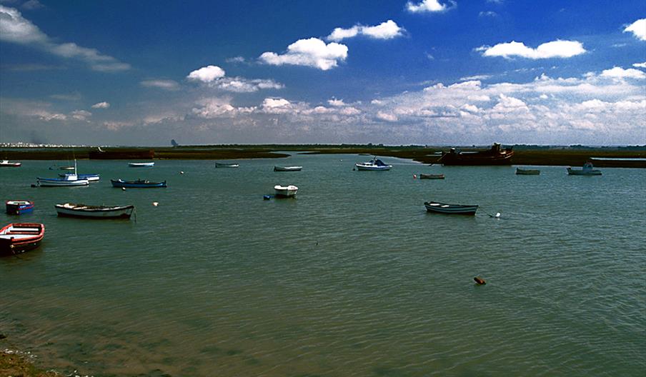 Marismas de Sancti Petri