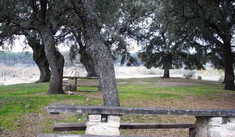 Área Recreativa Dehesa Mercadillo