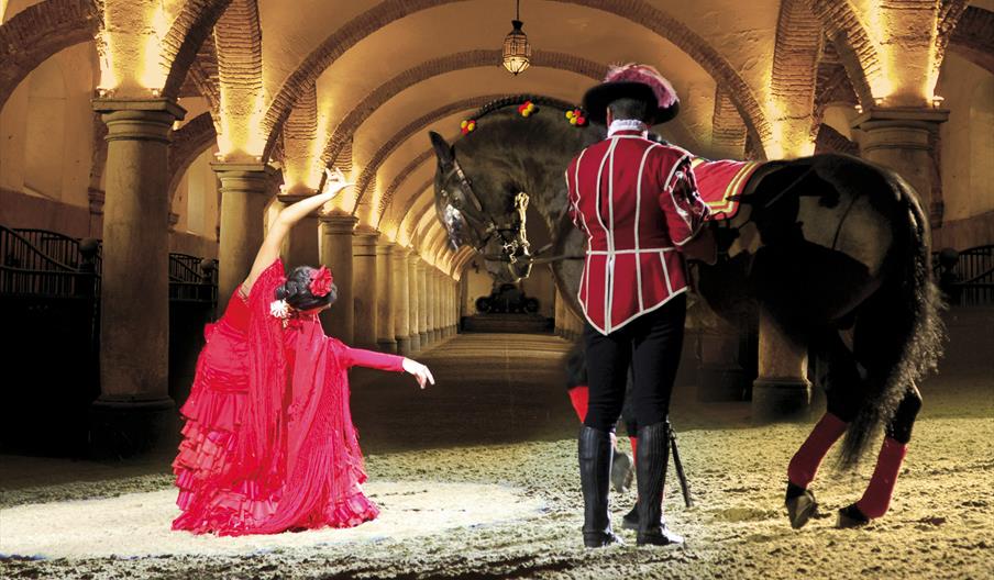 Córdoba Ecuestre - Caballerizas Reales de Córdoba