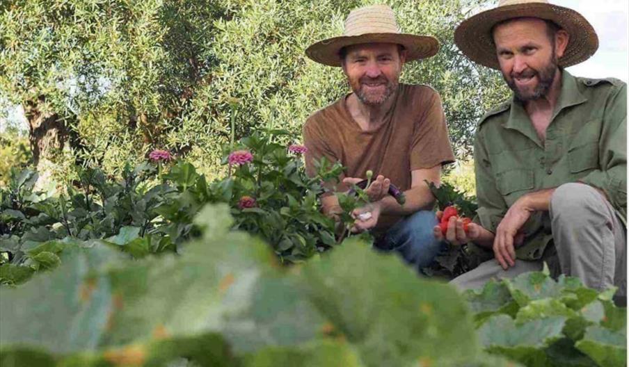 Huerta ecológica Familia Hevilla