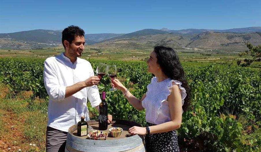 Pareja haciendo cata de vinos