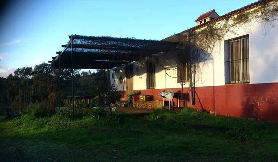 Vivienda Rural Alamillo