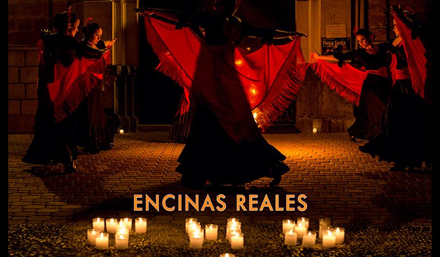 Noche Encandilada en Encinas Reales