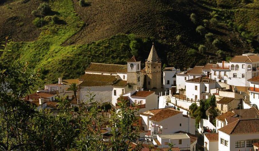 Casa Rural Cortijo de Luisa