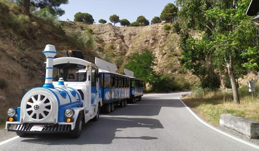 Un tren cultural en un entorno natural