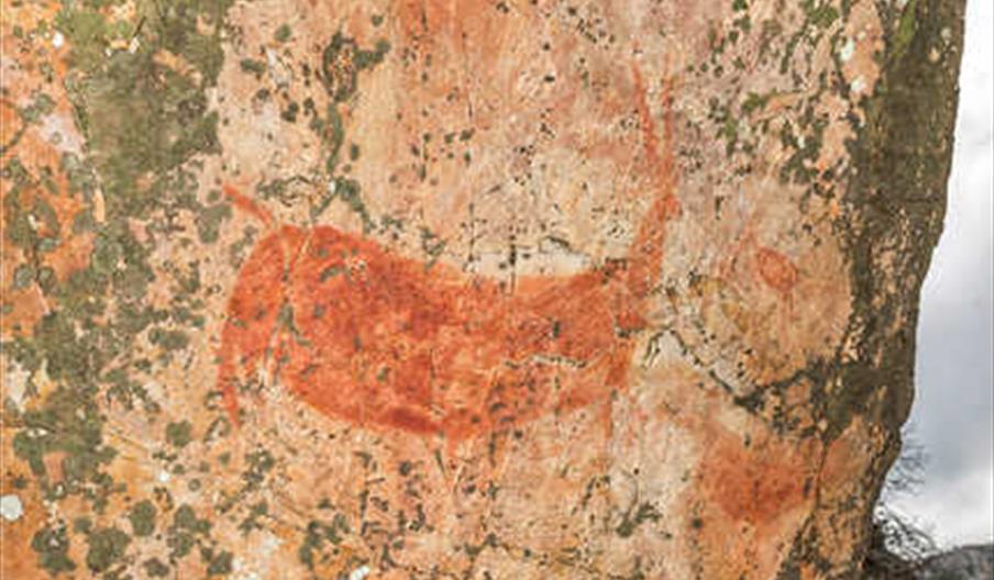 Arte Rupestre Patrimonio de la Humanidad por la UNESCO