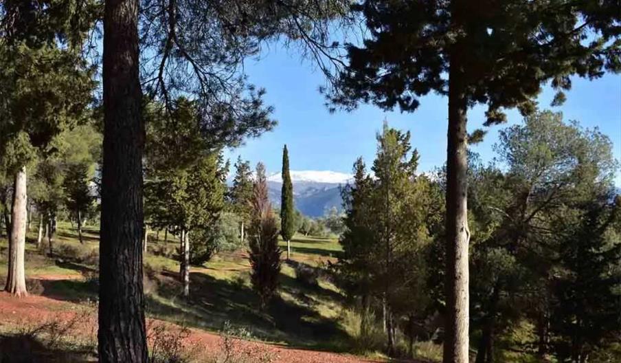 Senderismo en Granada Attraversiamo