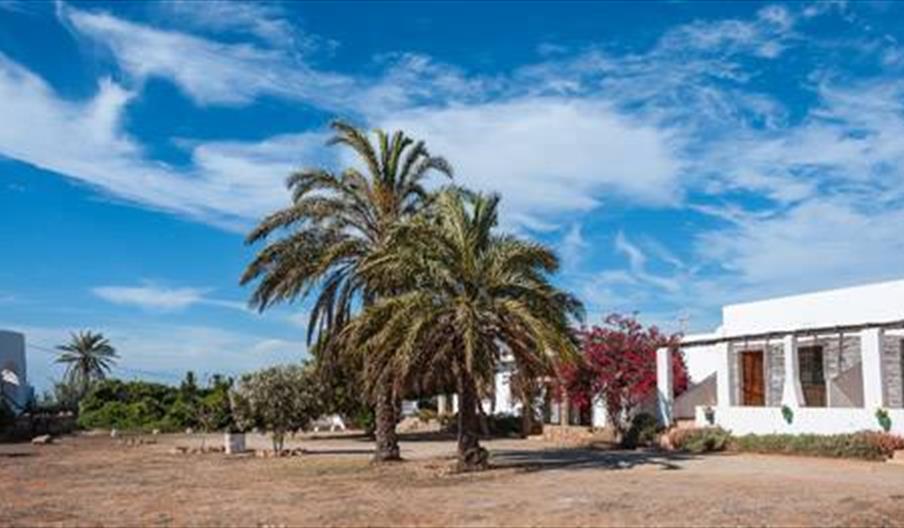 Vivienda Rural Cortijo La Molina