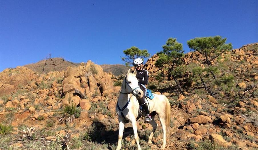 Club Deportivo Ecuestre Espíritu del Viento