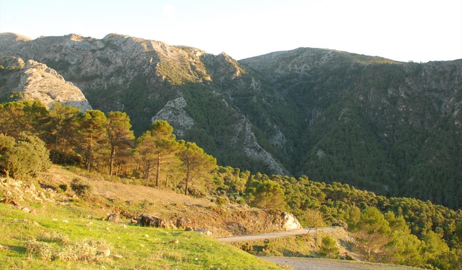 Los Tajos del Alcázar