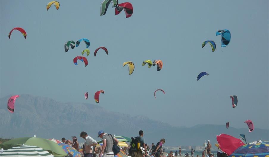 Escuela de Vela Ligera Spin Out