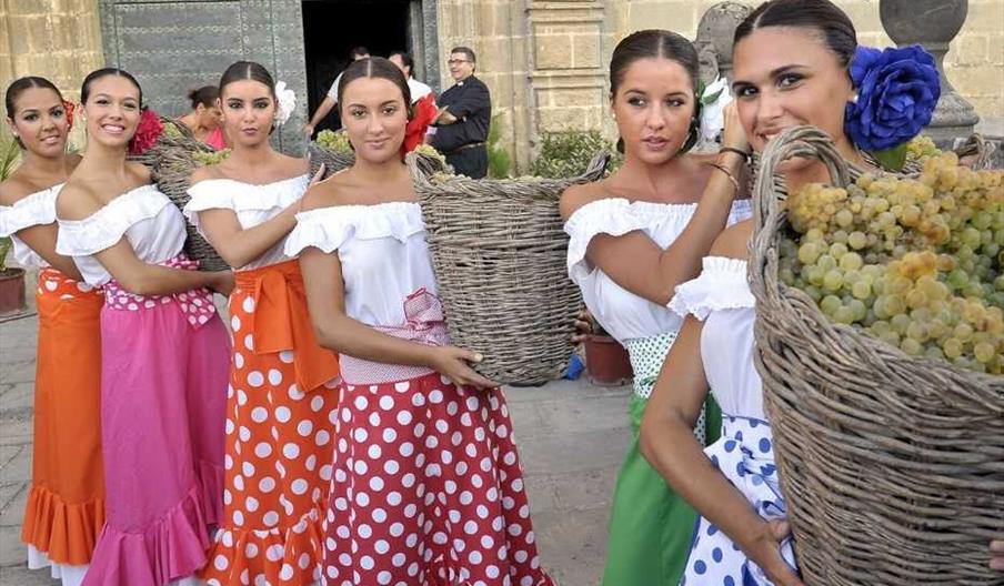 Agencia Surways Jerez de la Frontera