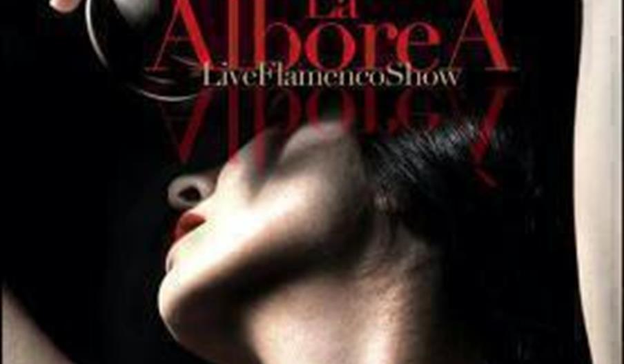 Tablao Flamenco La Alboreá