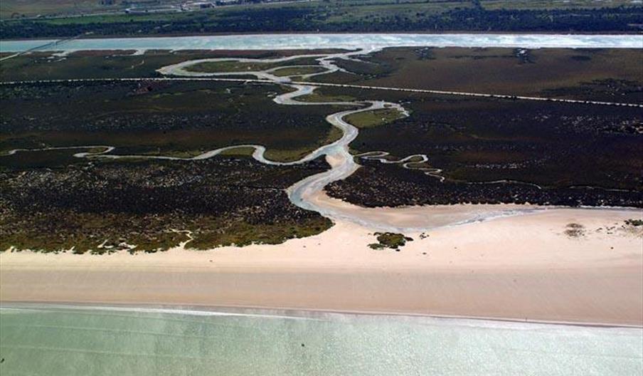 Playa de Levante / Los Toruños