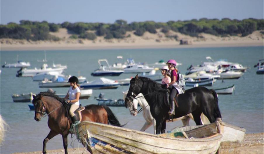 Foto del club web Club ecuestre La Arboleda