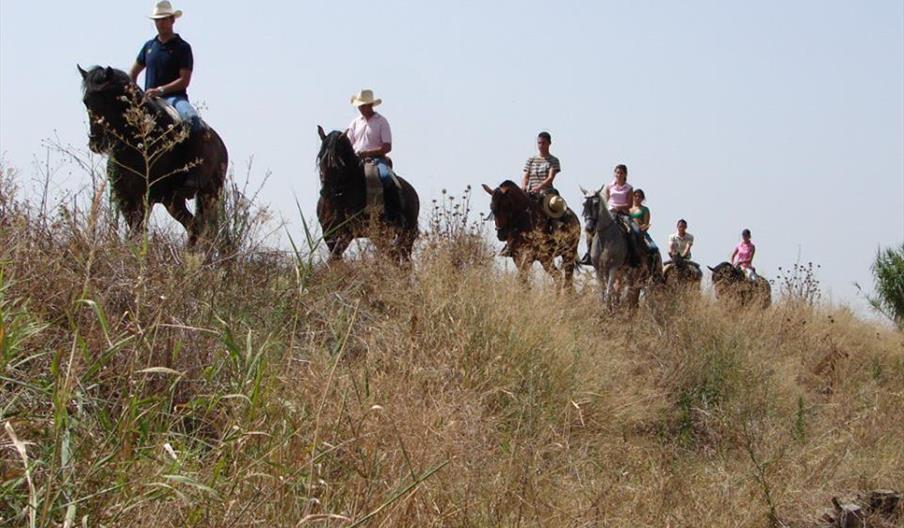 Centro Ecuestre Román Romero