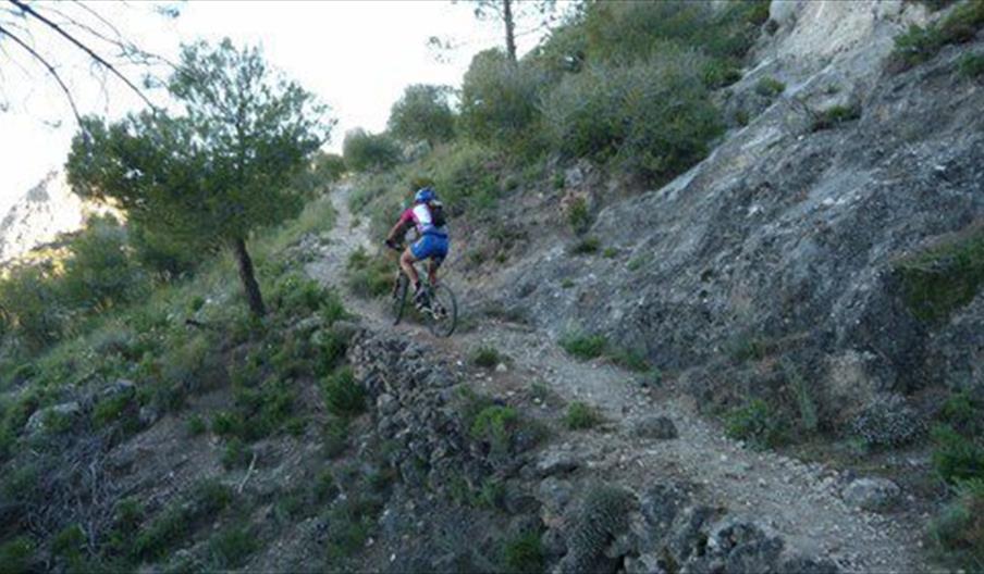 Ciconia Consultores Ambientales