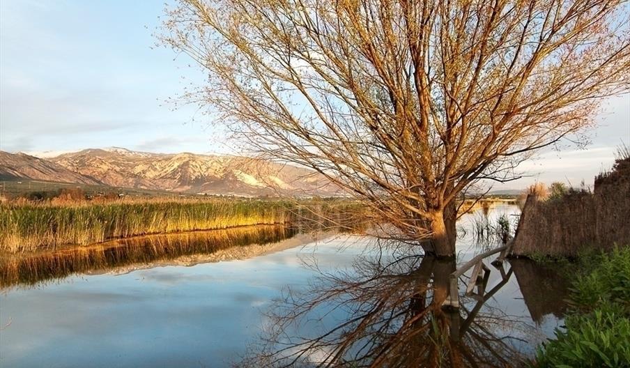 Laguna o Humedal de Padul
