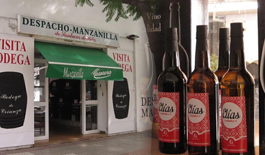 Bodegas Elías González