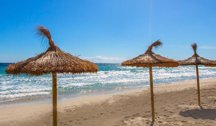 Apartamento Dimona Suites