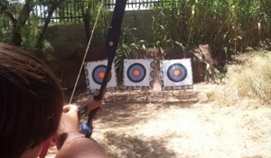 Sportnova Gestión del Deporte