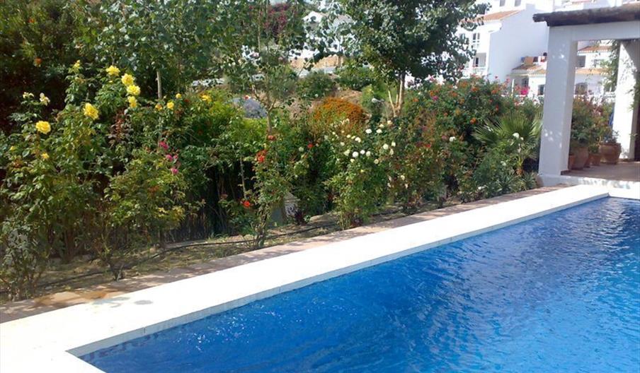 Apartamentos Almoraide