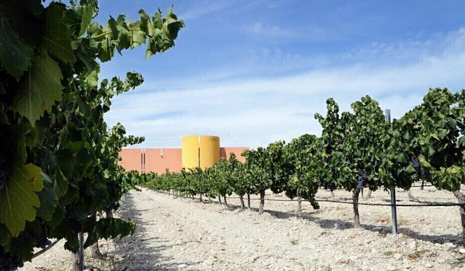 Bodegas Alto Almanzora