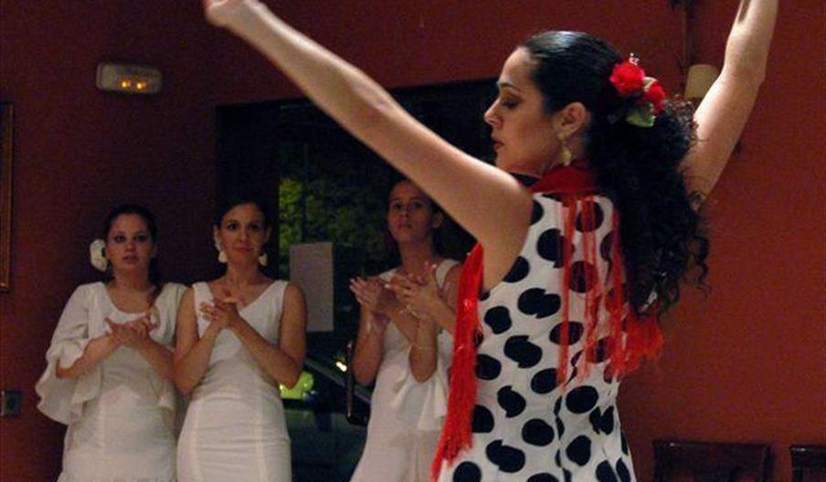 Estudio Flamenco Carmen de Torres