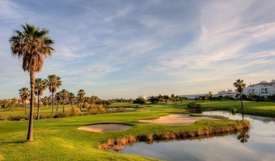 Costa Ballena Ocean Golf Club - Ficus + Olivos