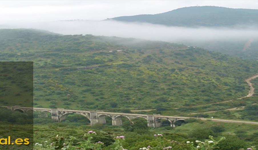 Vía Viva - Coripe Rural