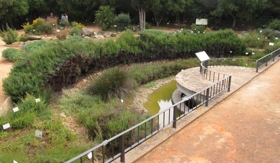 Jardín Botánico de San Fernando