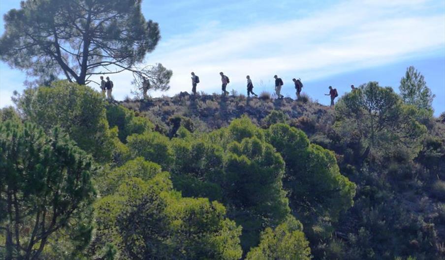 John Keo Walking Tours