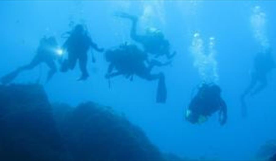 Centro de Buceo Trafalgar Sub