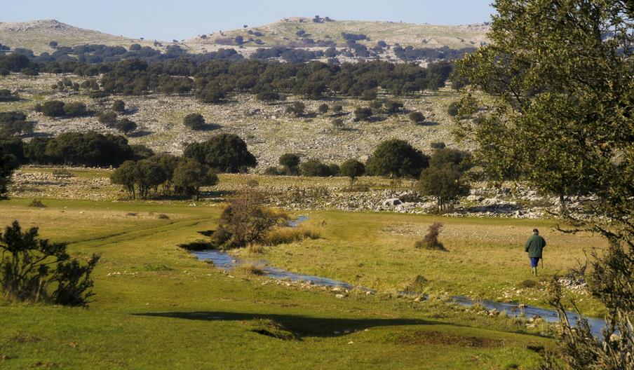 Poljé de la Nava de Cabra