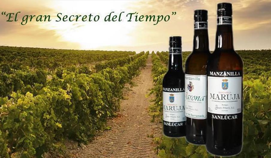 Bodegas Juan Piñero