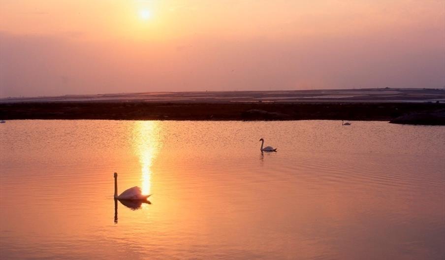 Punta Entinas-Sabinar