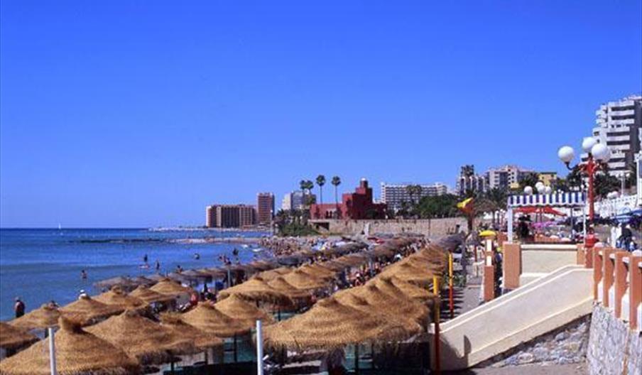 Santa Ana /Torrebermeja