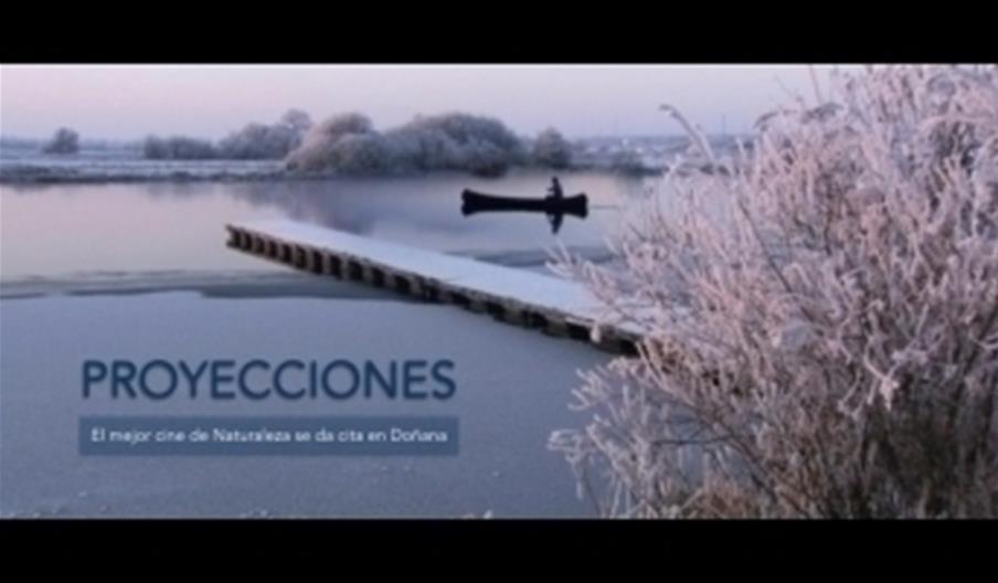 IV Festival Internacional de Cine Científico y Ambiental de Doñana