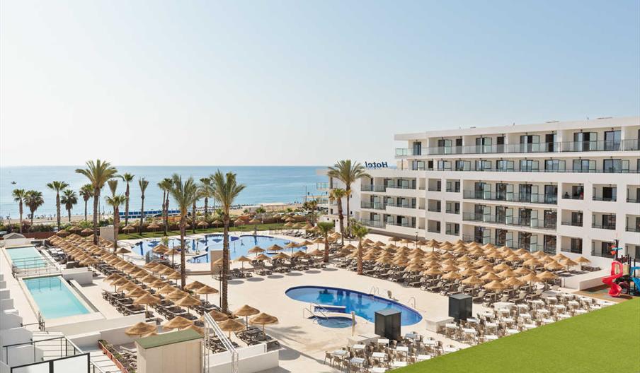 Best Oasis Tropical 2025