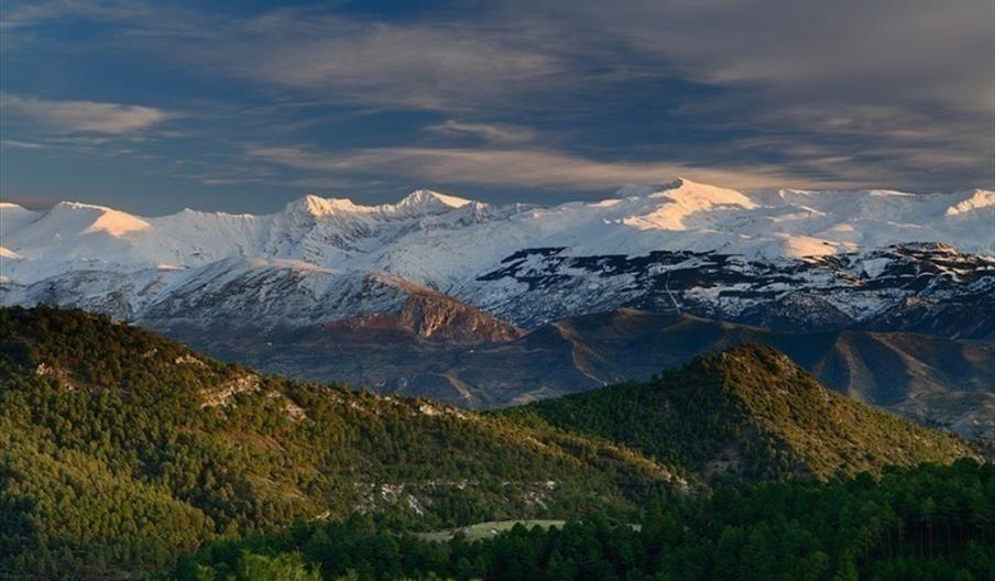 Entre Bosques y Fogones