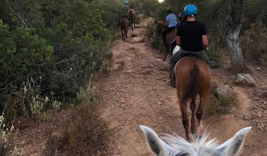 Centro de Turismo Ecuestre El Estribo
