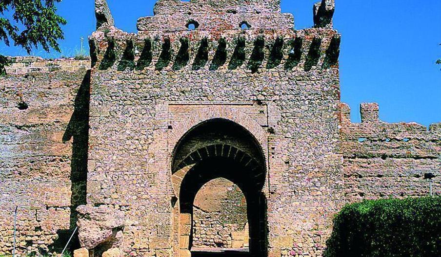 Alcázar del Rey Don Pedro